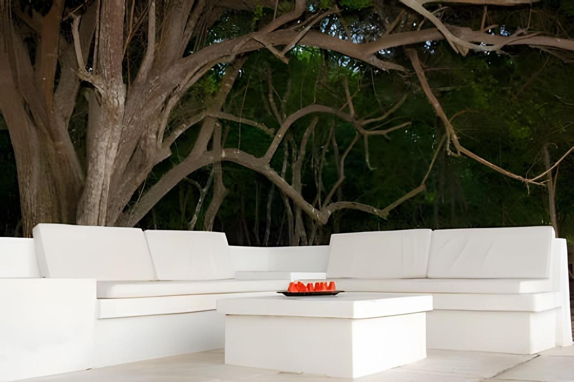 La Caracola | 3Br In Native Forest & Pvt Sea Baru Exterior photo